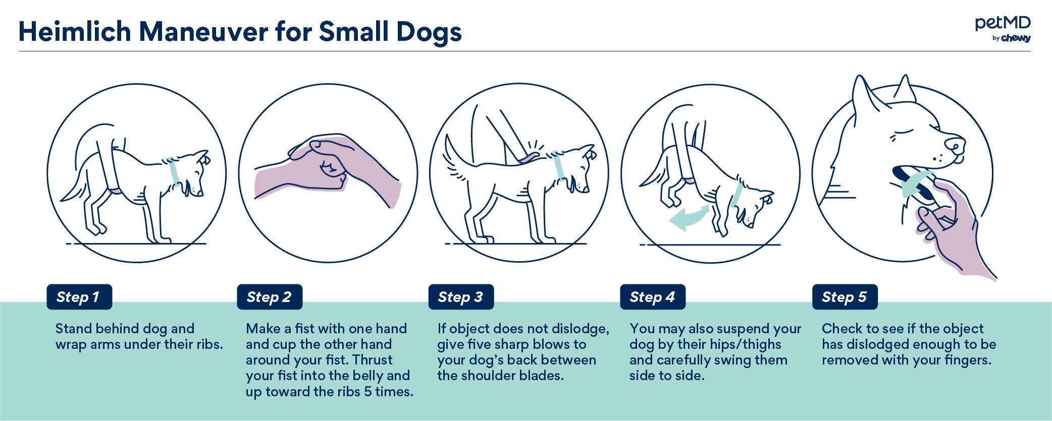 Dog heimlich sales small dogs